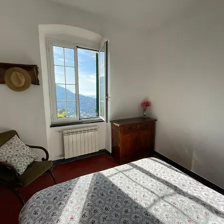 Bellavista *